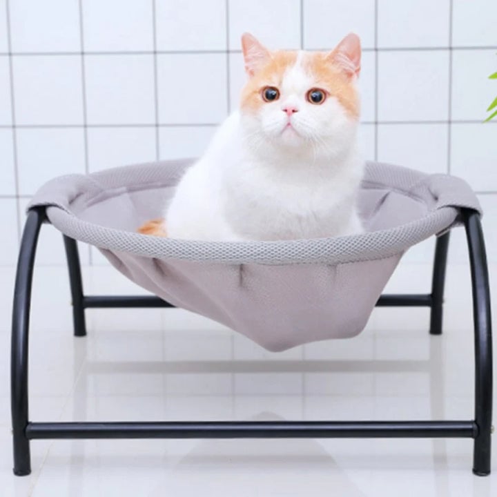 Floor Cat Hammock-With Stand