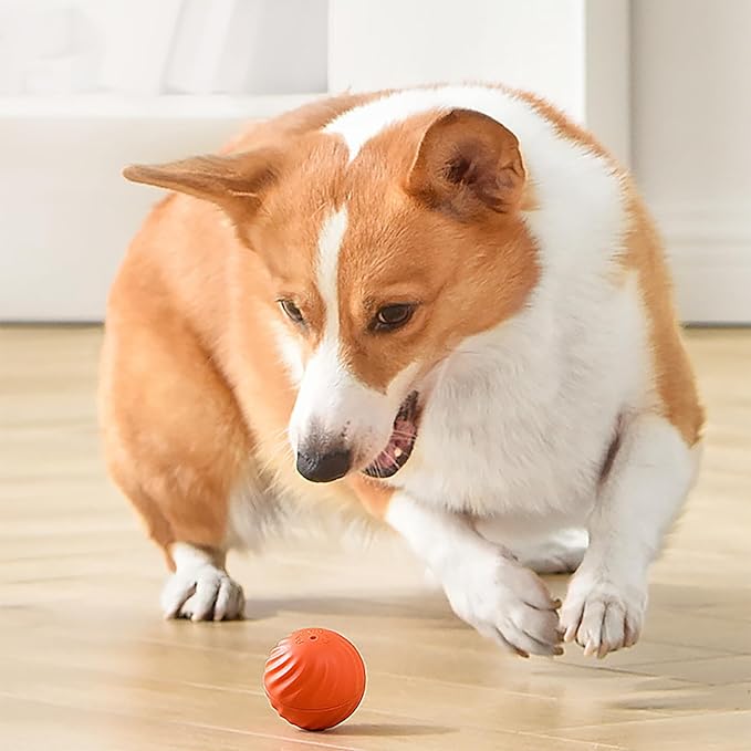 🎁Automatic smart teasing dog ball that can't be bitten🐶