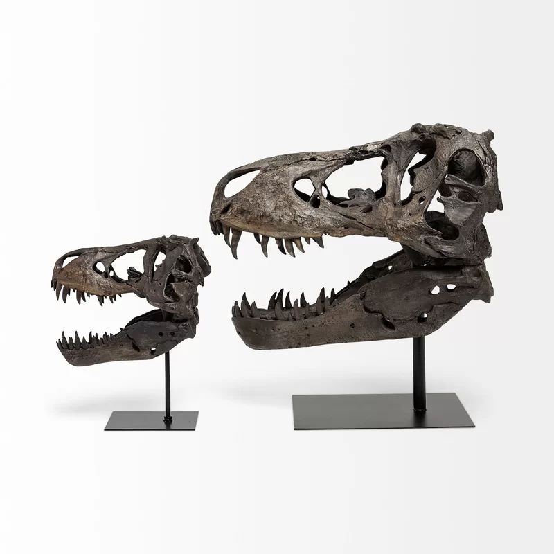 🔥-1/10 scale model of Tyrannosaurus Rex skull