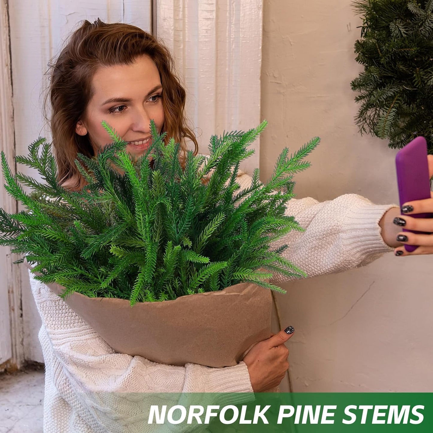 🎄Natural Christmas Greenery 🎄Norfolk Pine Branch