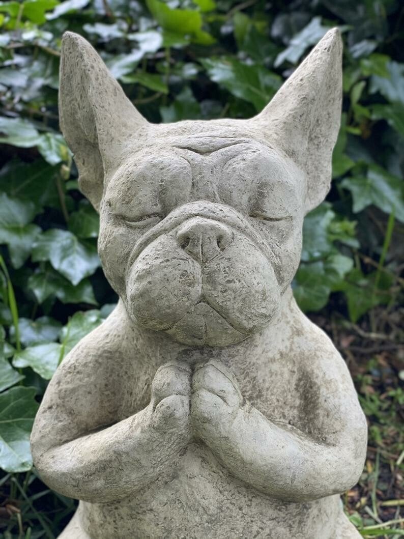 🔥Meditating Sitting French Bulldog