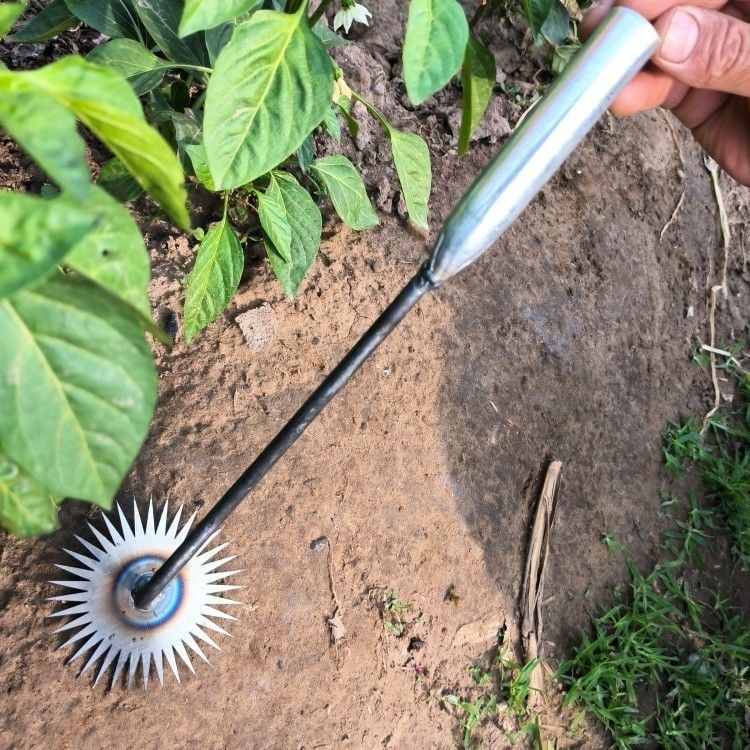 New Sunflower Weeding Artifact  Weeding Tool