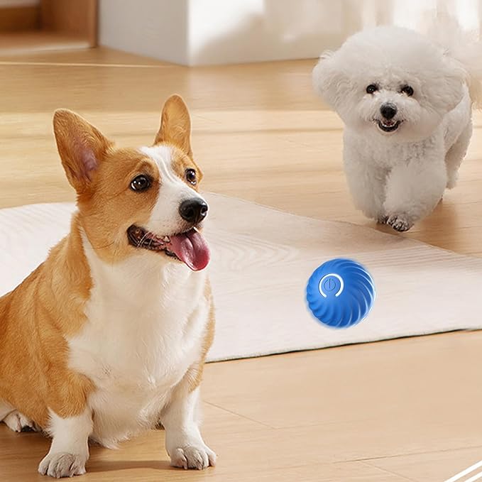 🎁Automatic smart teasing dog ball that can't be bitten🐶