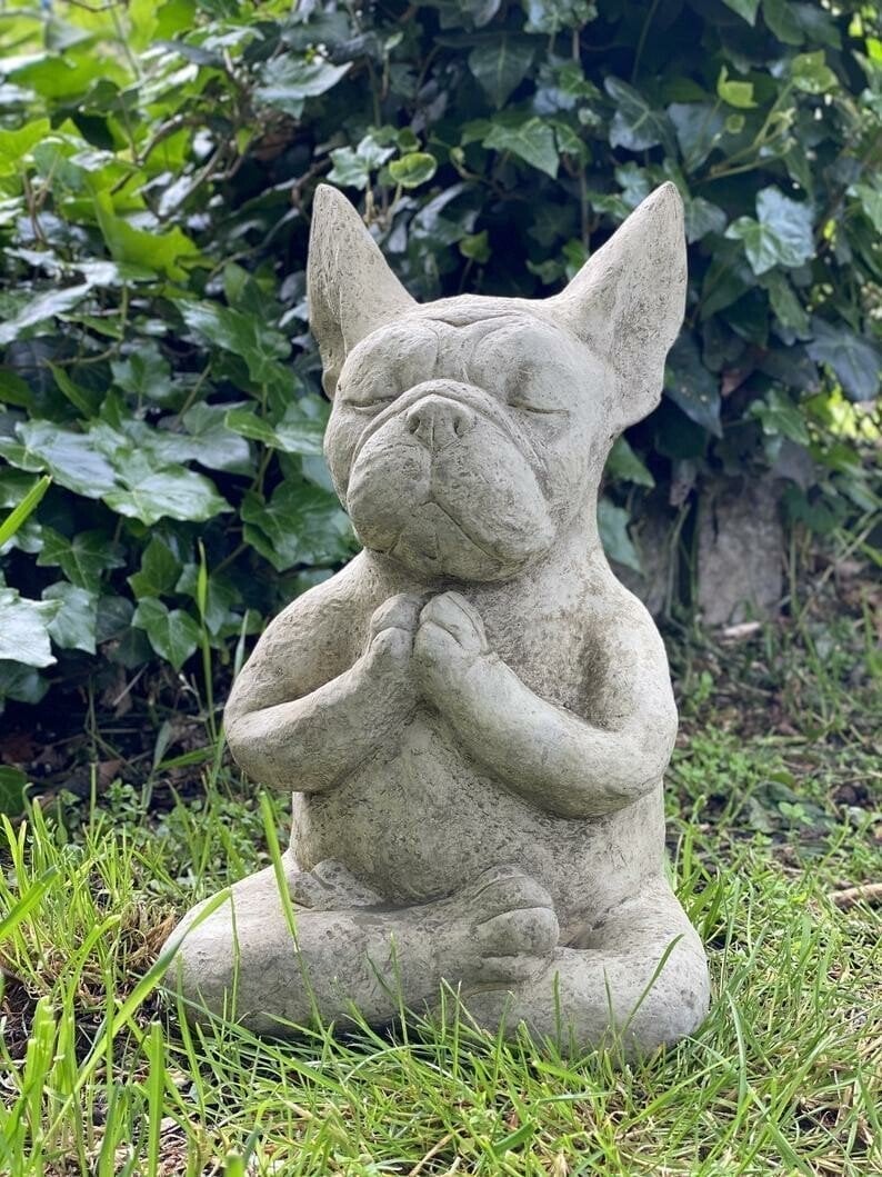 🔥Meditating Sitting French Bulldog