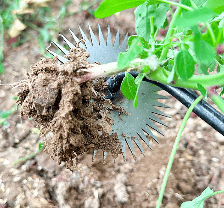 New Sunflower Weeding Artifact  Weeding Tool