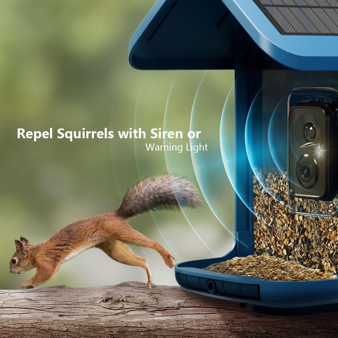 🔥Smart Hummingbird Feeder & Bird Bath