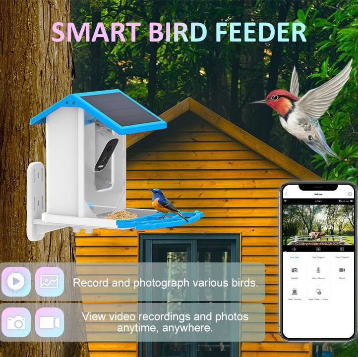 🔥Smart Hummingbird Feeder & Bird Bath