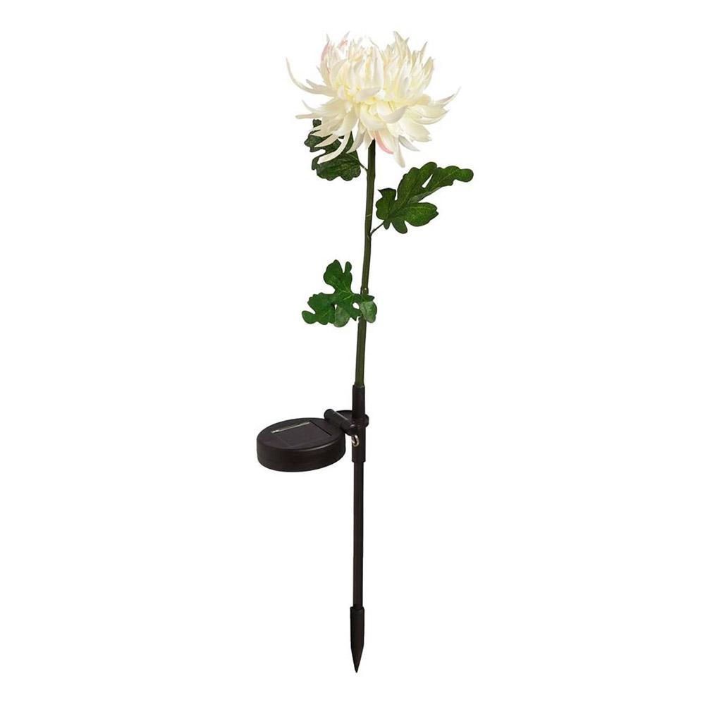 Solar Chrysanthemum Garden Light