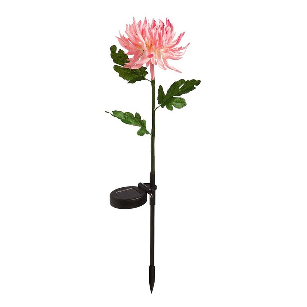 Solar Chrysanthemum Garden Light