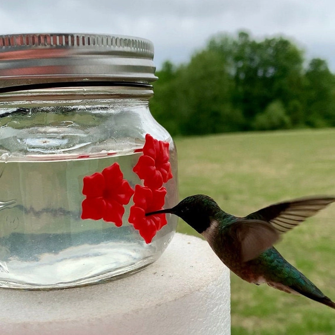 Beautiful Mason Jar Hummingbird Feeder /Three Ports