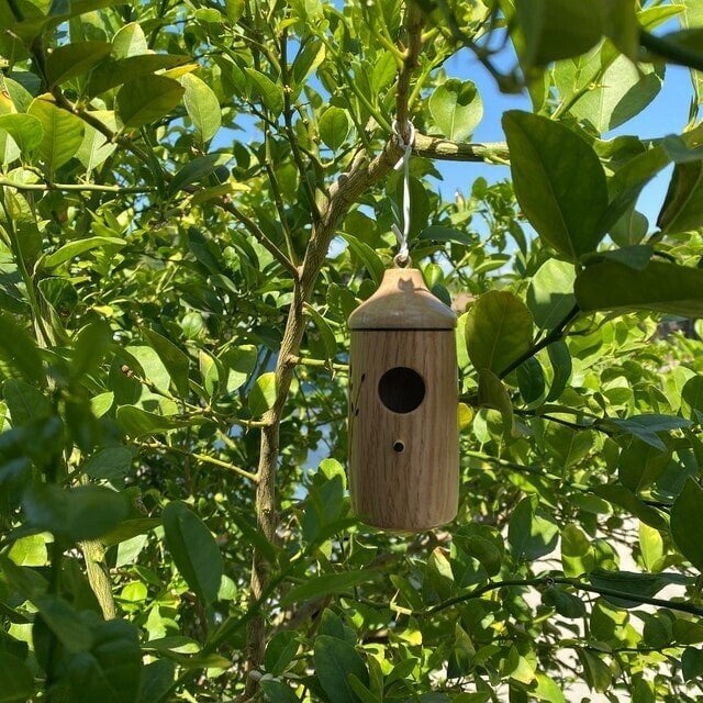 💕Wooden Hummingbird House-Gift for Nature Lovers🔥🔥