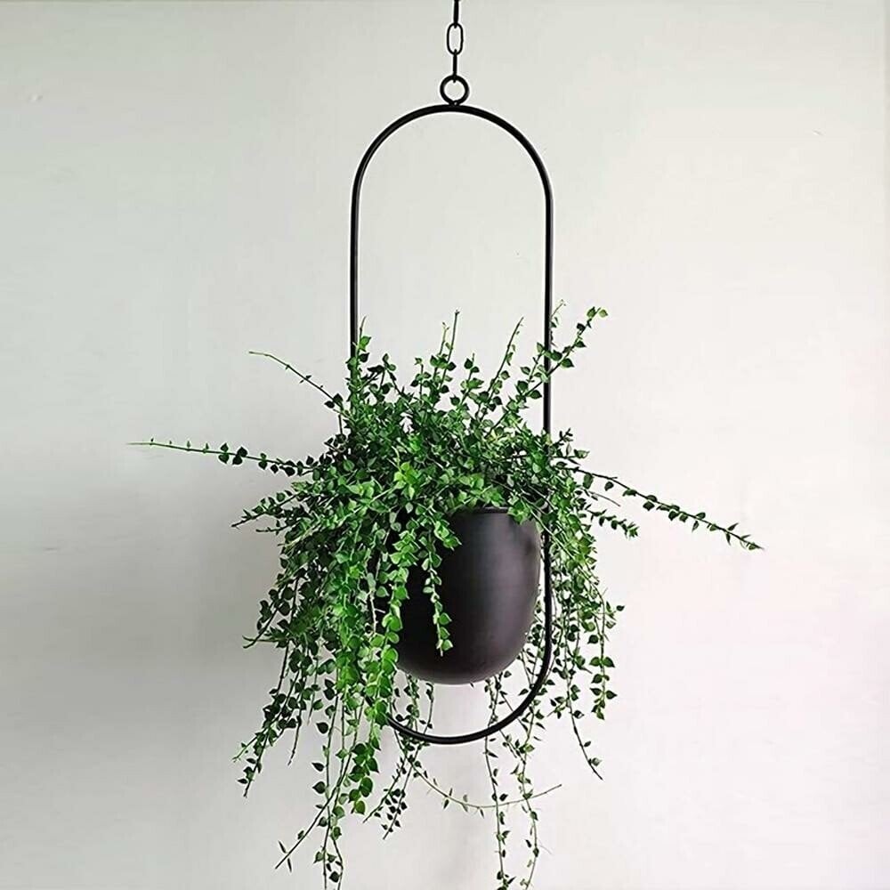 Modern Hanging Iron Flower Pot