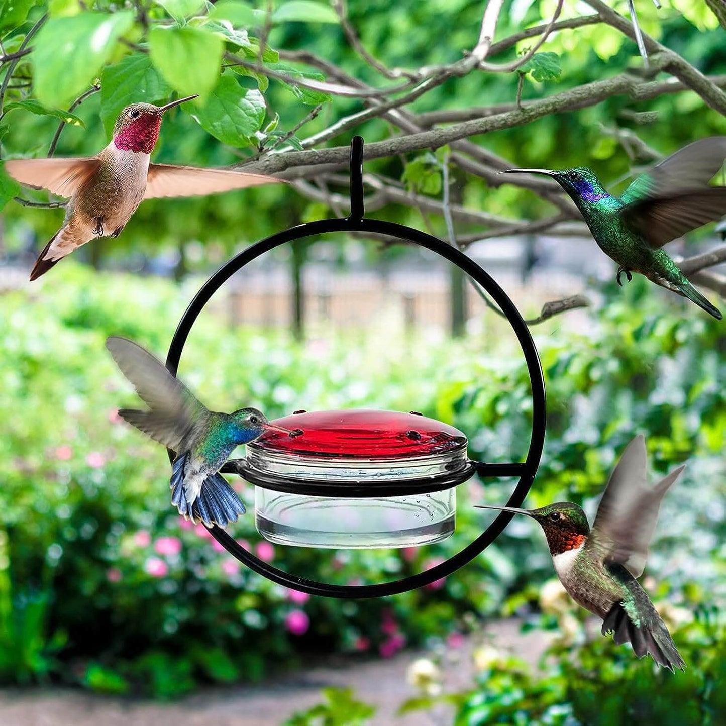 Metal Hummingbird Water Feeder