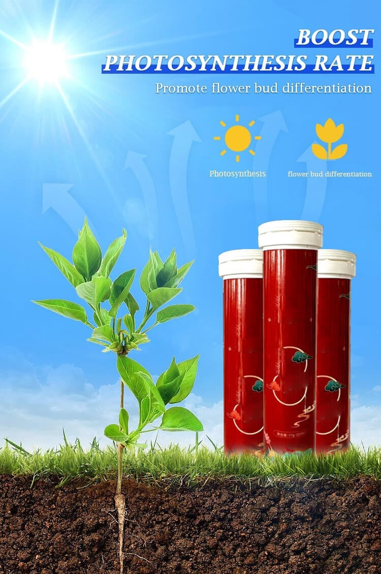 🔥🔥Gardening General Organic Fertilizer Tablets