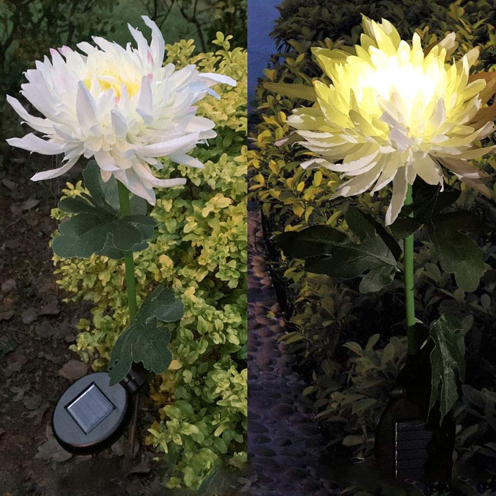 Solar Chrysanthemum Garden Light