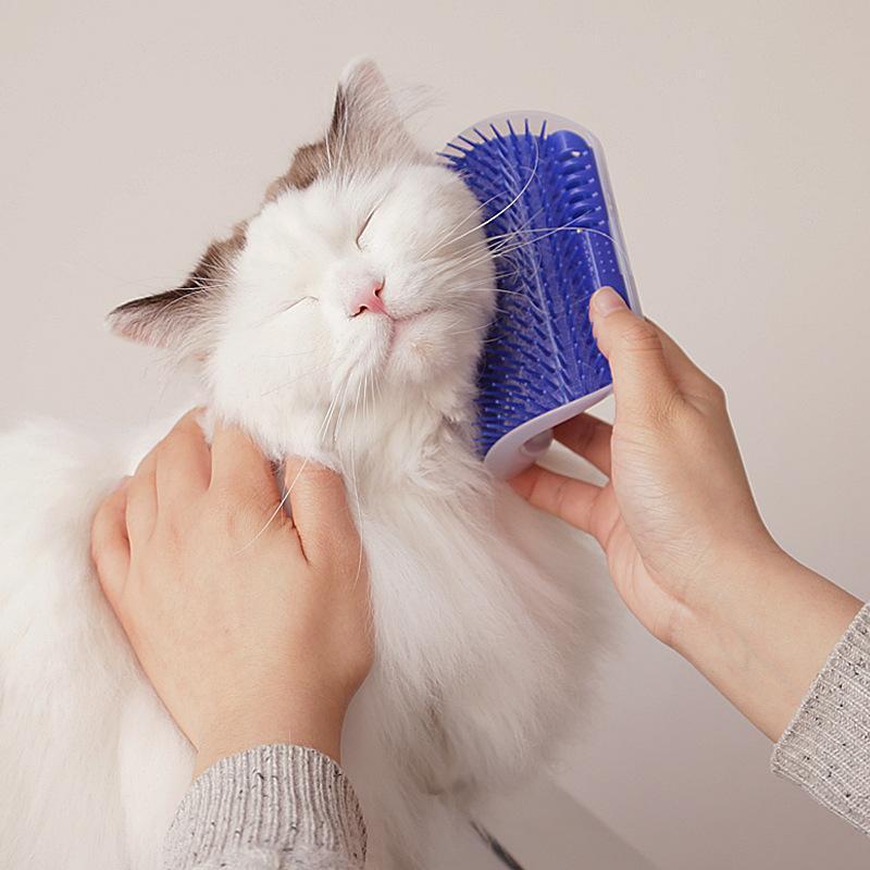 Self Grooming and Massaging Cat Toy