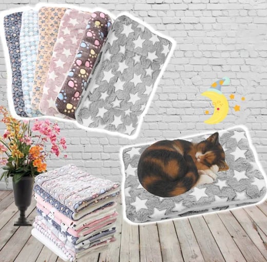 Big Sale - Cozy Calming Cat Blanket